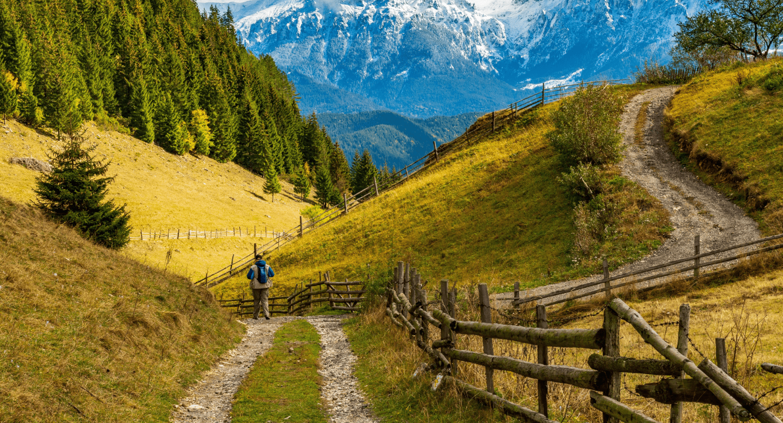Exploring Romania’s Southern Carpathians from Petroșani